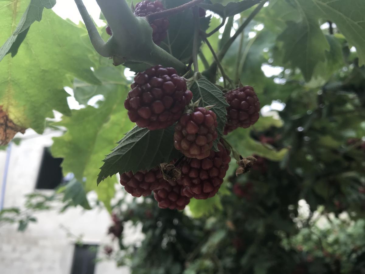 Mresty Guest House Mtolle 외부 사진